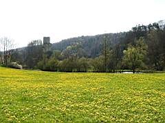20010430_0951.jpg