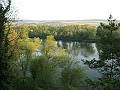 20010503_0543.jpg