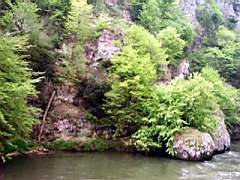 20010504_0929.jpg