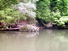 20010504_0946.jpg