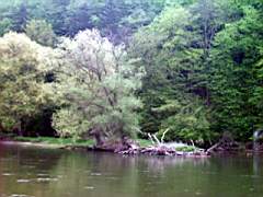 20010504_0950.jpg