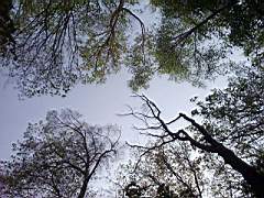 20010504_1533.jpg