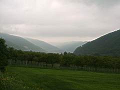 20010508_1438.jpg